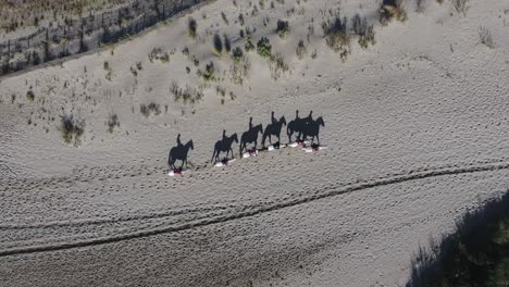 Shadow-of-horses-walking-on-the-sand-during-a-ride-in-France.